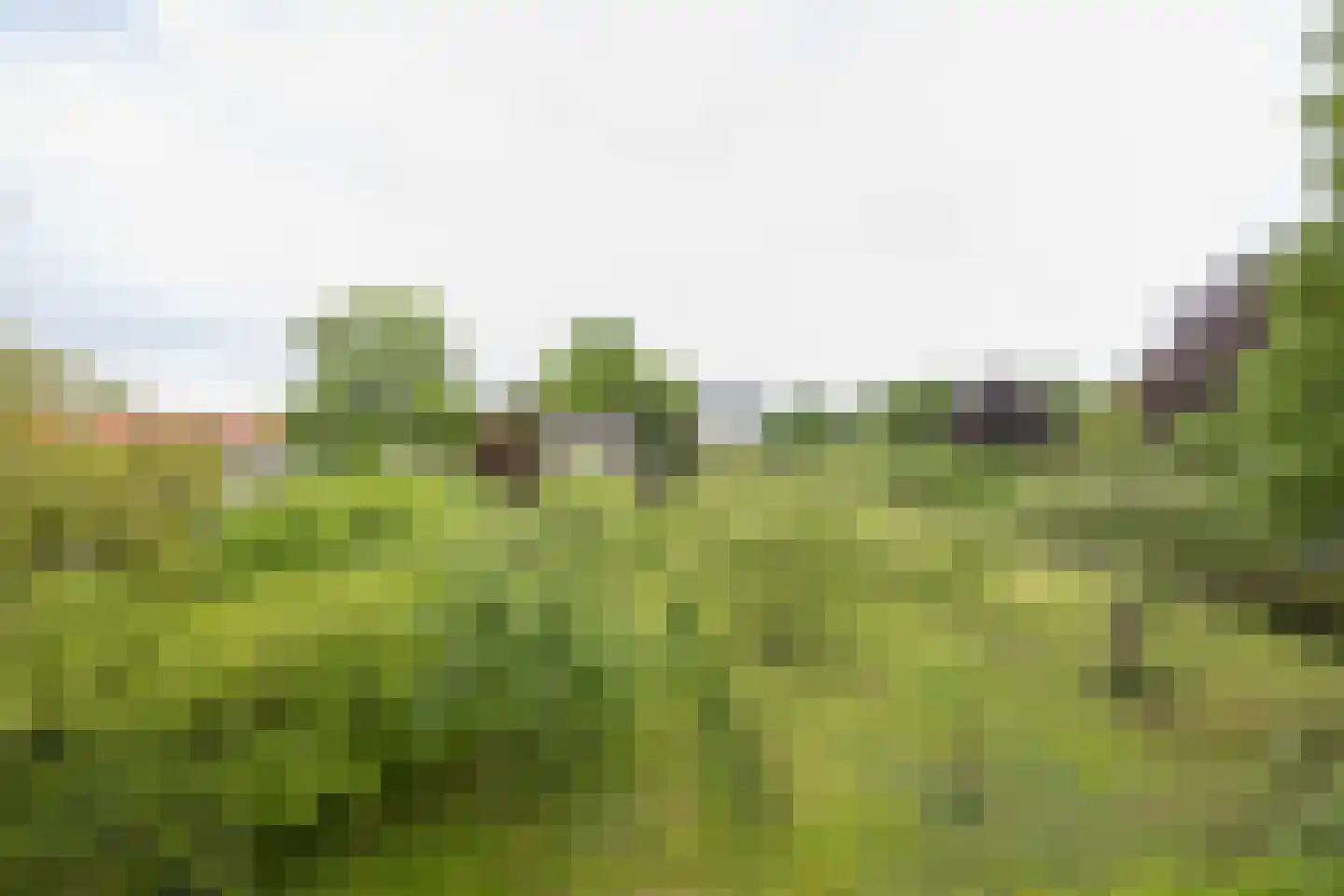 W.M. Offringalaan 28 Alphen aan den Rijn thumbnail 19