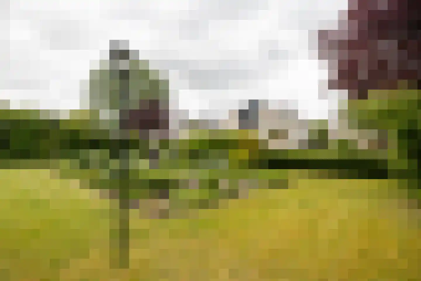 W.M. Offringalaan 28 Alphen aan den Rijn thumbnail 33