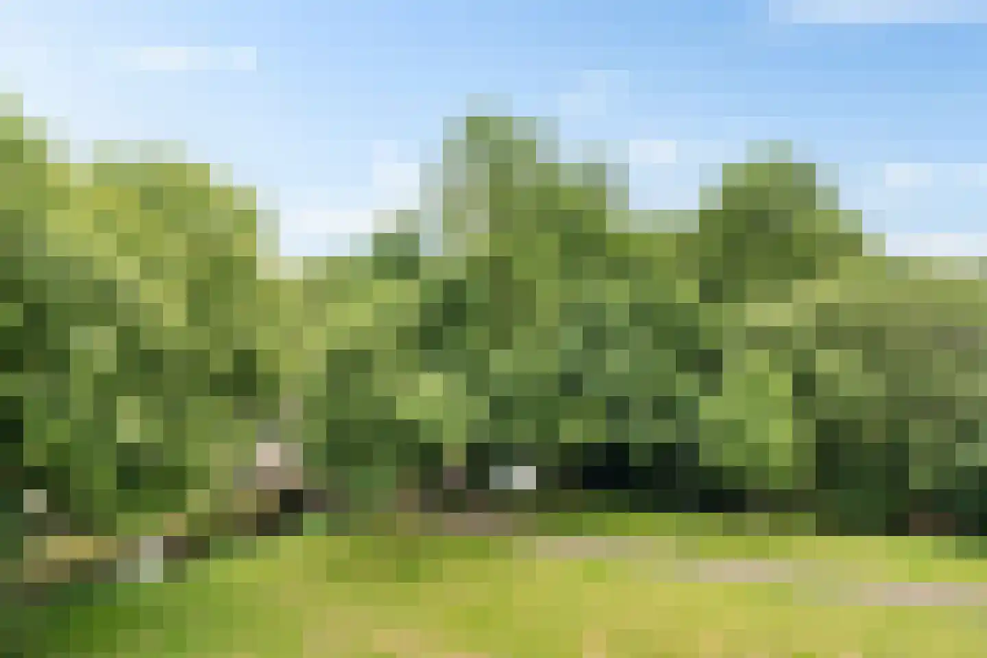 W.M. Offringalaan 60 Alphen aan den Rijn thumbnail 16