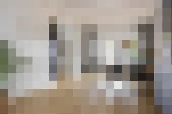 W. M. Oppedijkstraat 5 IJlst thumbnail 10