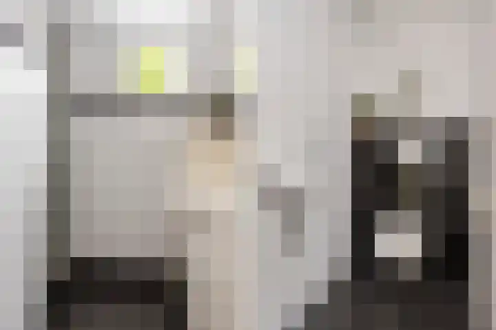 W. M. Oppedijkstraat 5 IJlst thumbnail 18