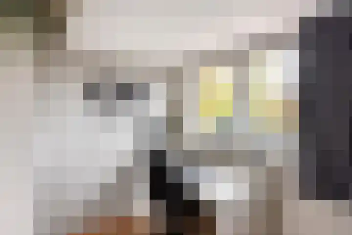 W. M. Oppedijkstraat 5 IJlst thumbnail 24