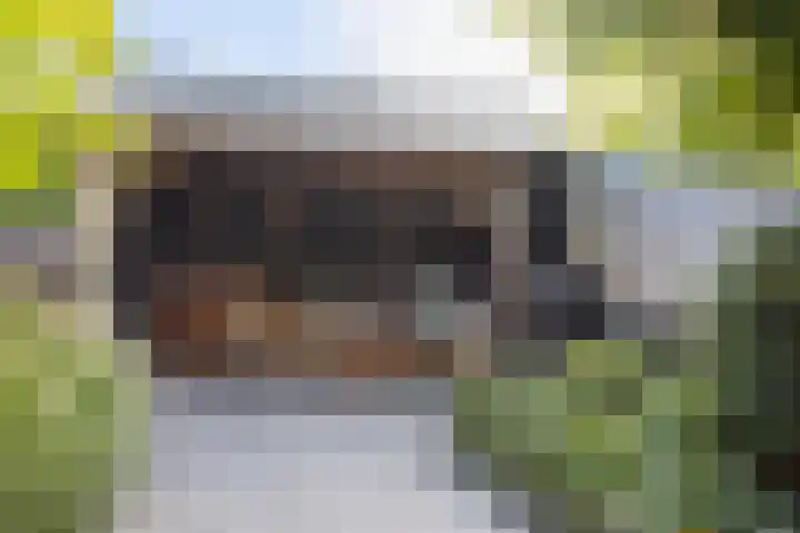 W. M. Oppedijkstraat 5 IJlst thumbnail 31