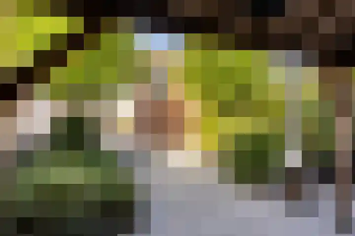 W. M. Oppedijkstraat 5 IJlst thumbnail 35