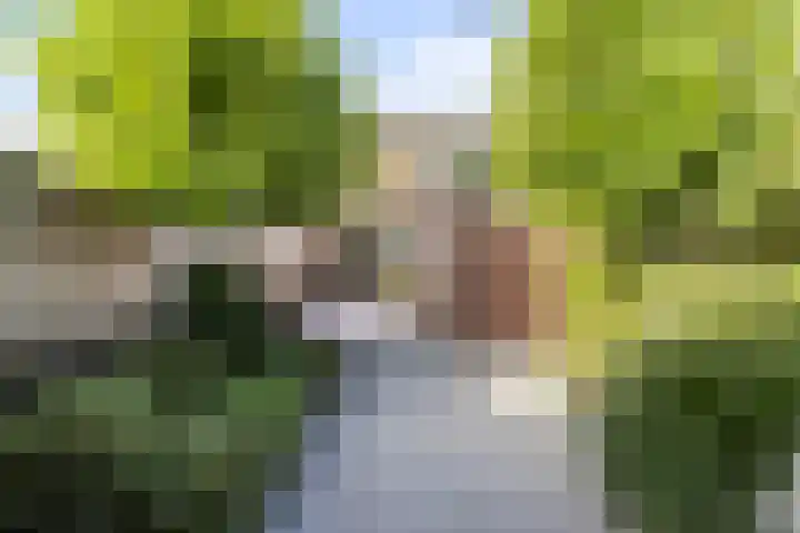 W. M. Oppedijkstraat 5 IJlst thumbnail 37