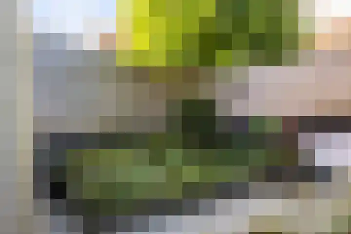 W. M. Oppedijkstraat 5 IJlst thumbnail 38