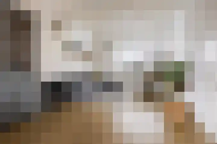W. M. Oppedijkstraat 5 IJlst thumbnail 6