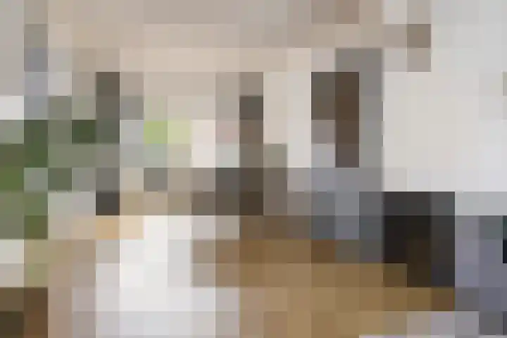 W. M. Oppedijkstraat 5 IJlst thumbnail 8