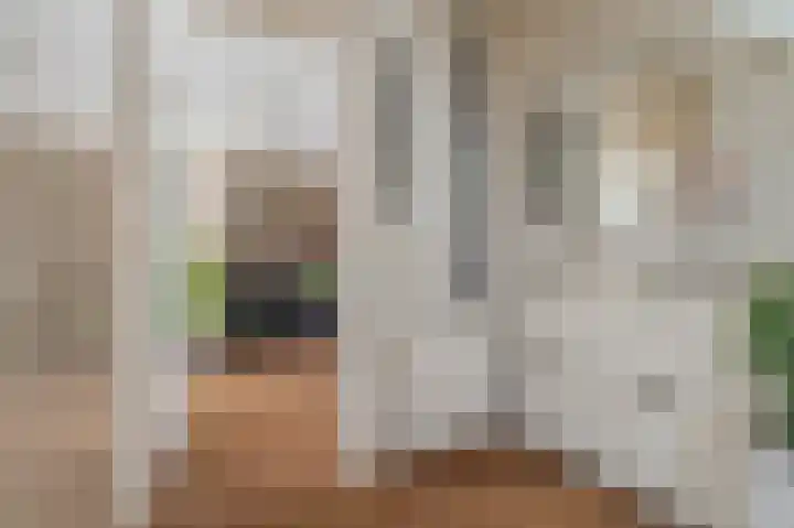 W. Mettingstraat 19 Bad Nieuweschans thumbnail 11