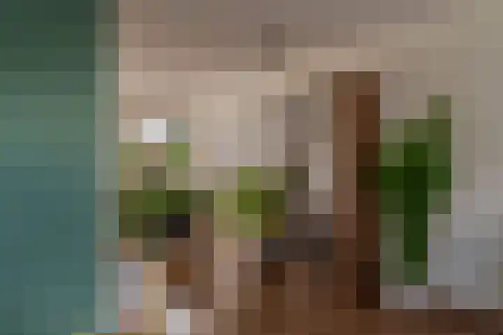 W. Mettingstraat 19 Bad Nieuweschans thumbnail 16
