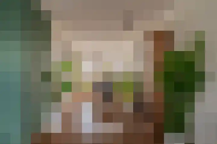 W. Mettingstraat 19 Bad Nieuweschans thumbnail 17