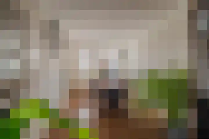 W. Mettingstraat 19 Bad Nieuweschans thumbnail 18