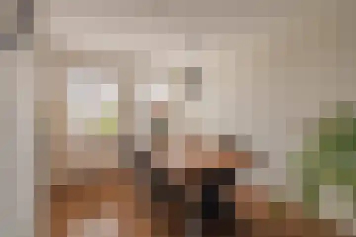 W. Mettingstraat 19 Bad Nieuweschans thumbnail 19