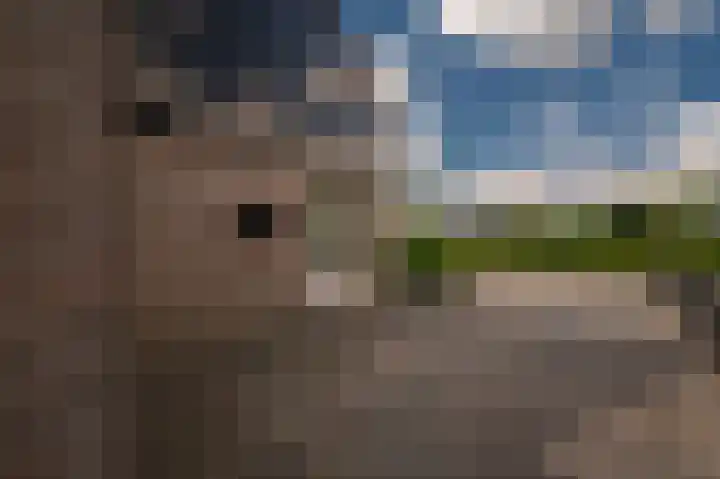W. Mettingstraat 19 Bad Nieuweschans thumbnail 8