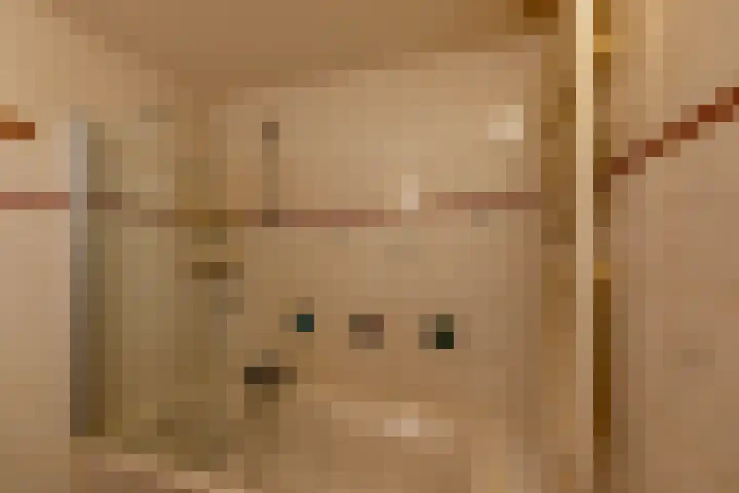 W. Mettingstraat 27 Bad Nieuweschans thumbnail 22