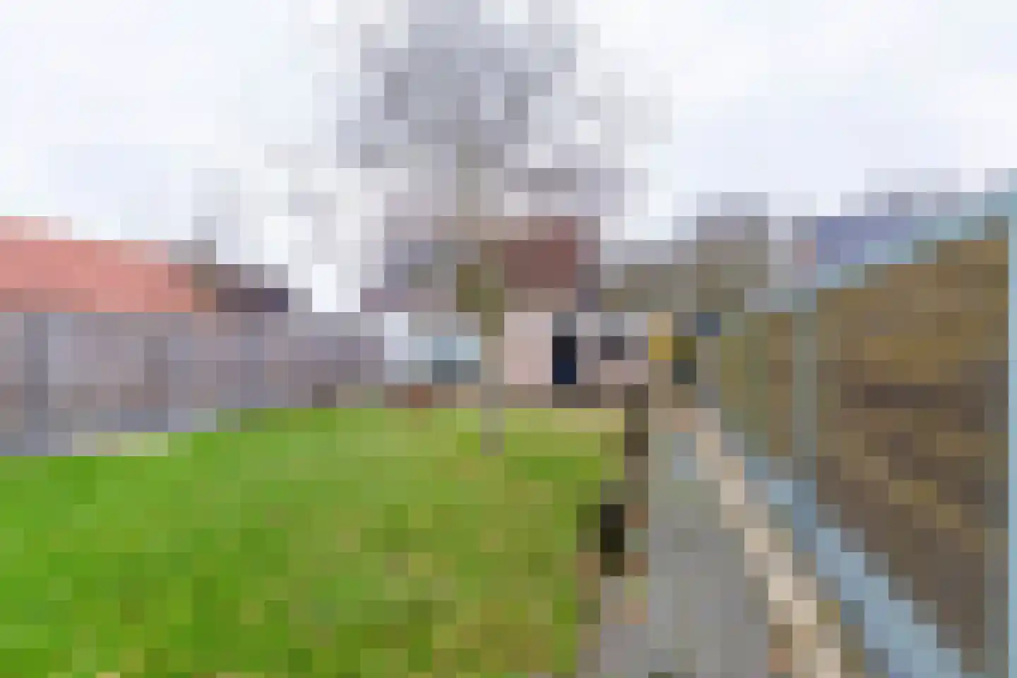 W. Mettingstraat 27 Bad Nieuweschans thumbnail 28