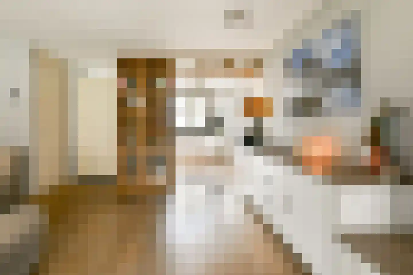 W. Moolenaarshof 12 Sassenheim thumbnail 8