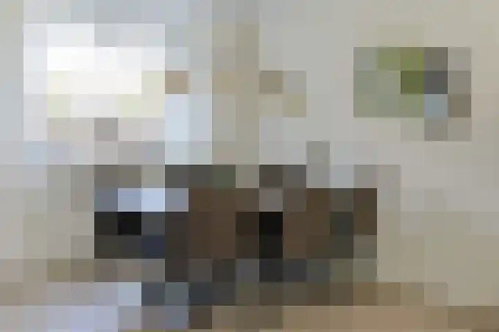 W. Ontzigtstraat 24 Ter Aar thumbnail 11