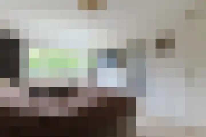 W. Ontzigtstraat 24 Ter Aar thumbnail 21