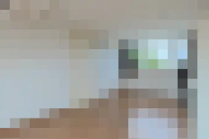 W. Ontzigtstraat 24 Ter Aar thumbnail 39