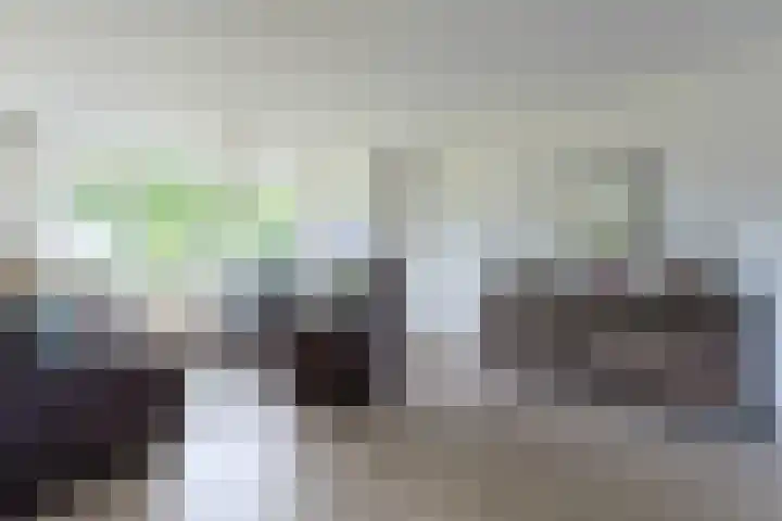 W. Ontzigtstraat 24 Ter Aar thumbnail 7
