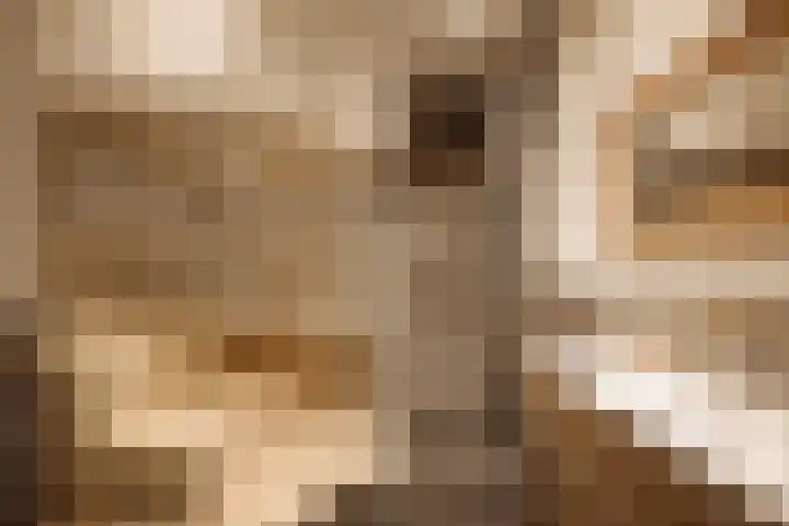 W. Oudshoornstraat 6 Muiden thumbnail 10