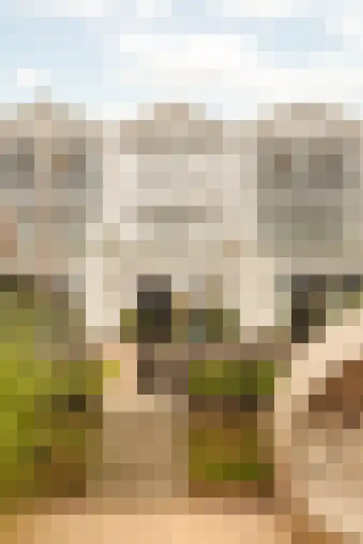 W. Oudshoornstraat 6 Muiden thumbnail 18
