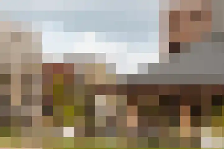 W. Oudshoornstraat 6 Muiden thumbnail 46