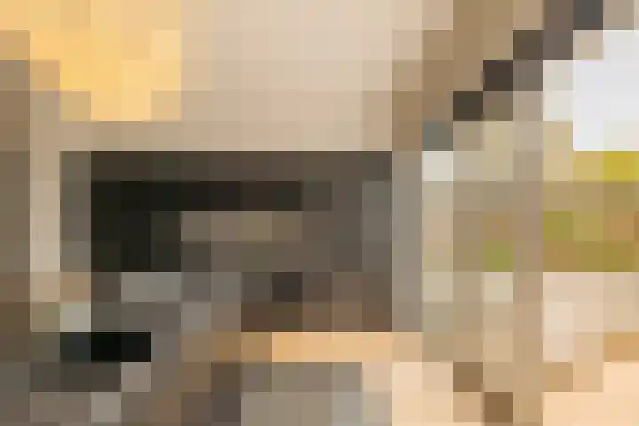 W. Oudshoornstraat 6 Muiden thumbnail 6