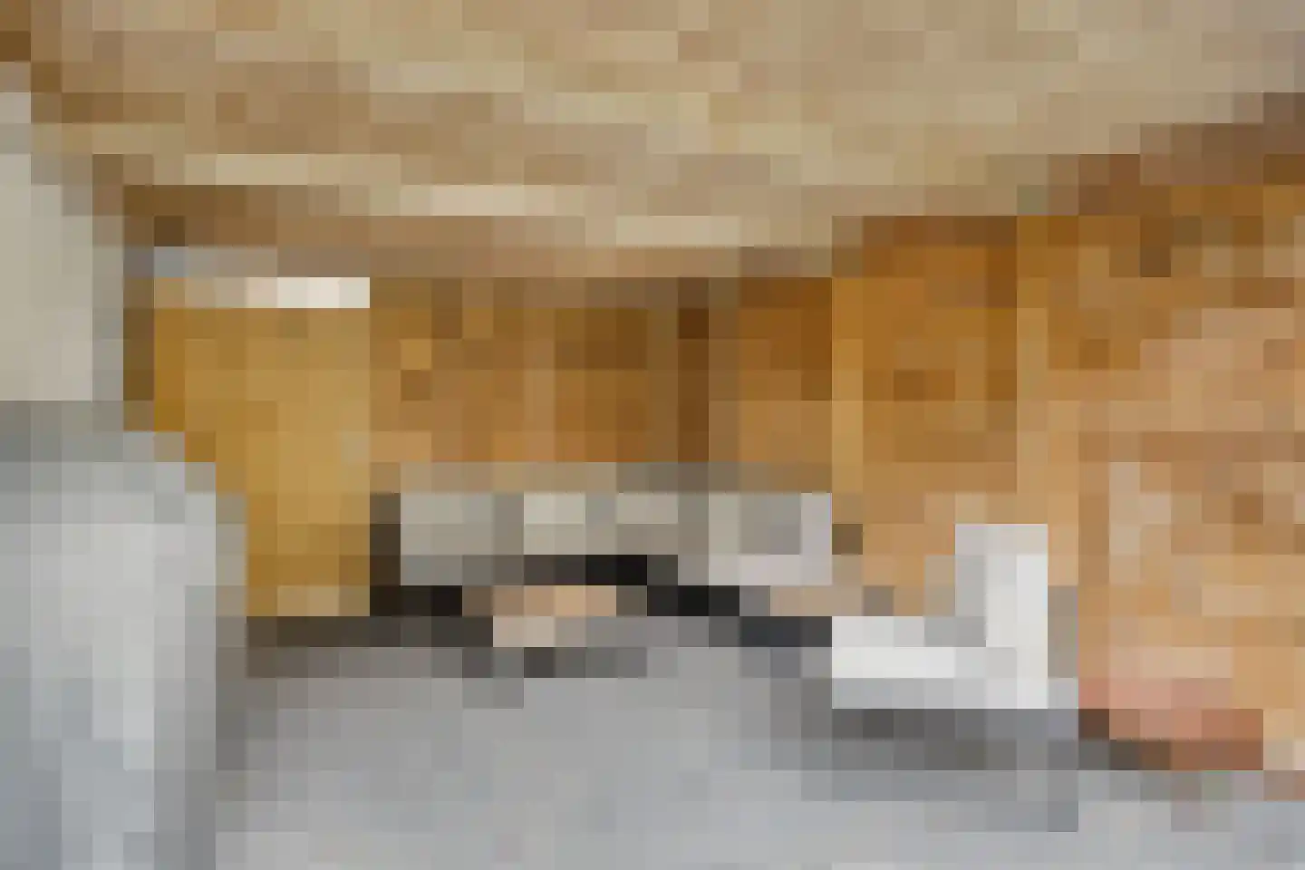 W.P. Speelmanstraat 23 Zwijndrecht thumbnail 30