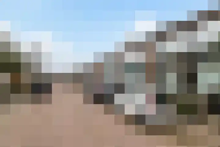 W.P. Speelmanstraat 24 Zwijndrecht thumbnail 29