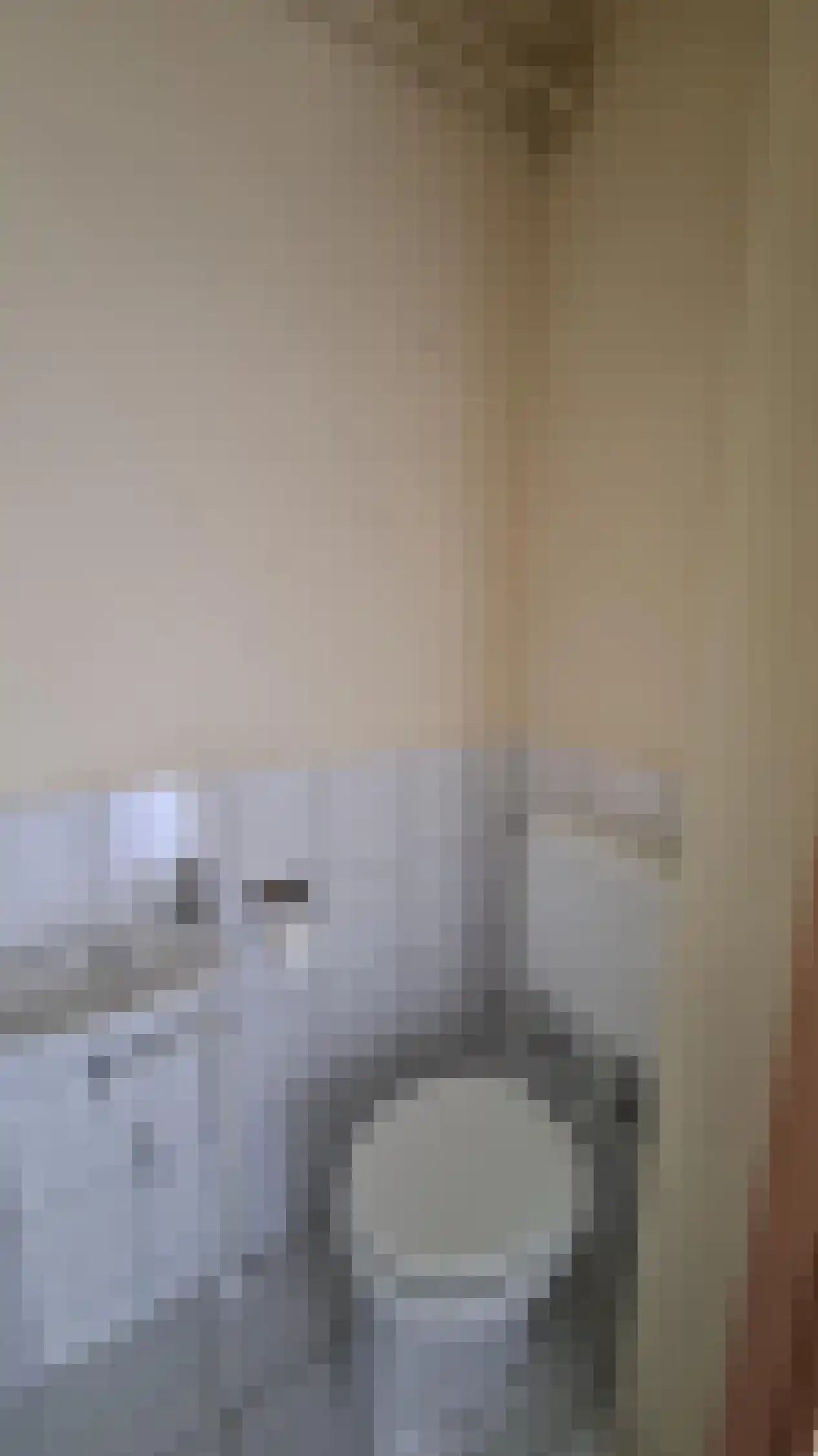W. Pijperstraat 10 Spijkenisse thumbnail 5