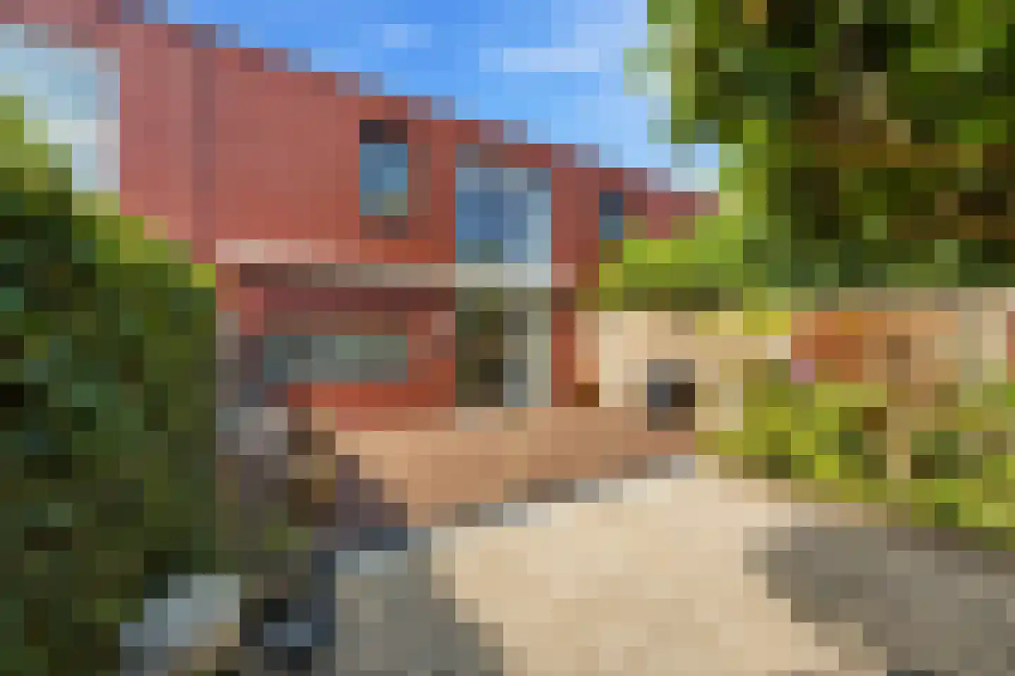 W. Plokkerstraat 36 Spijkenisse thumbnail 15