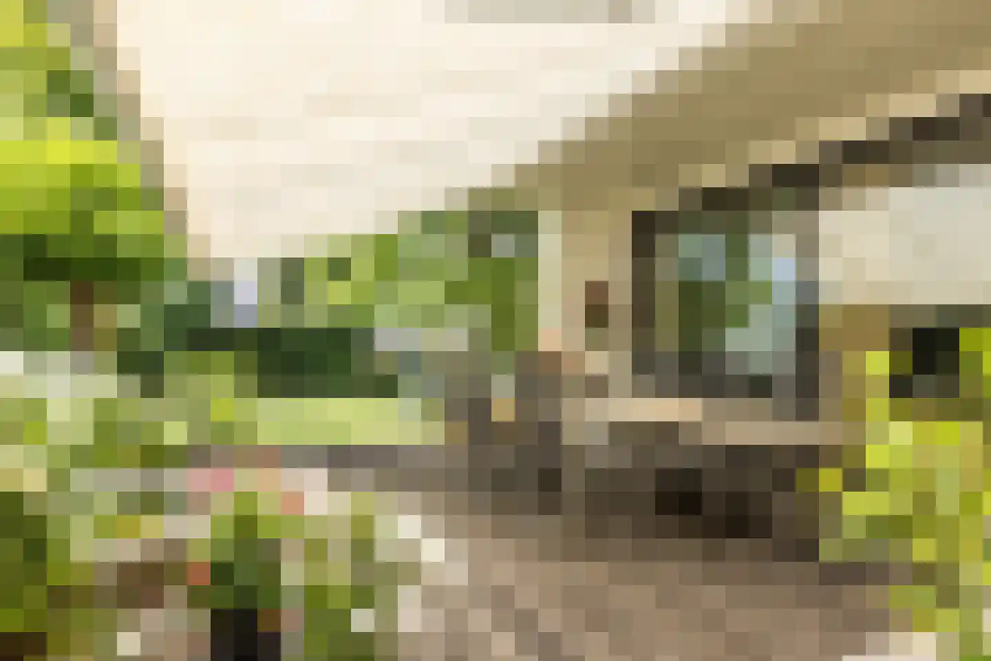 W. Schweitzerlaan 5 Heerlen thumbnail 45