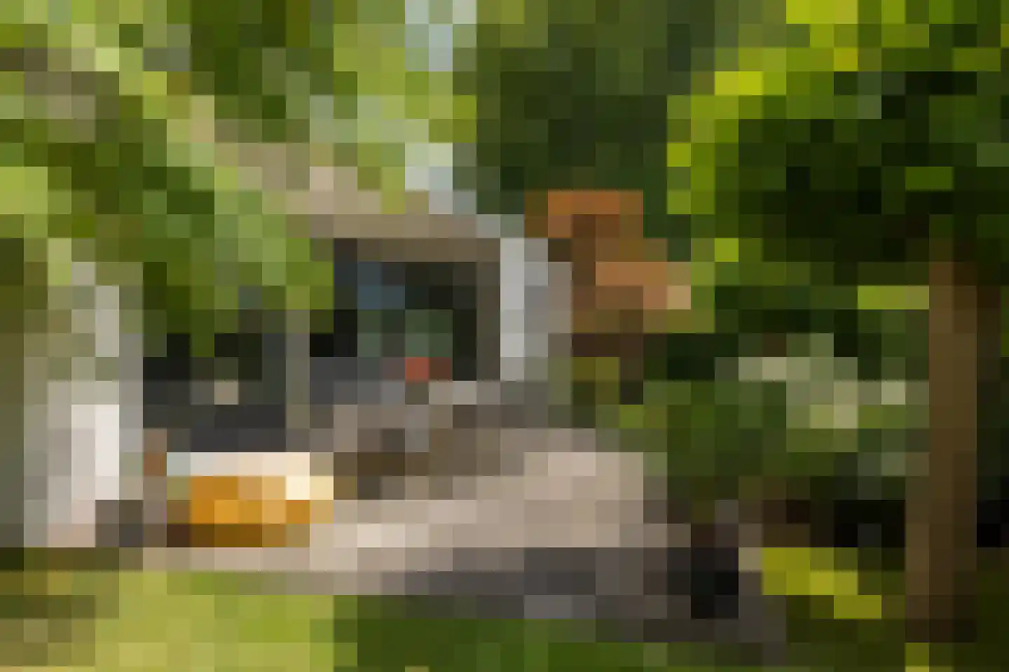W. Schweitzerlaan 5 Heerlen thumbnail 47