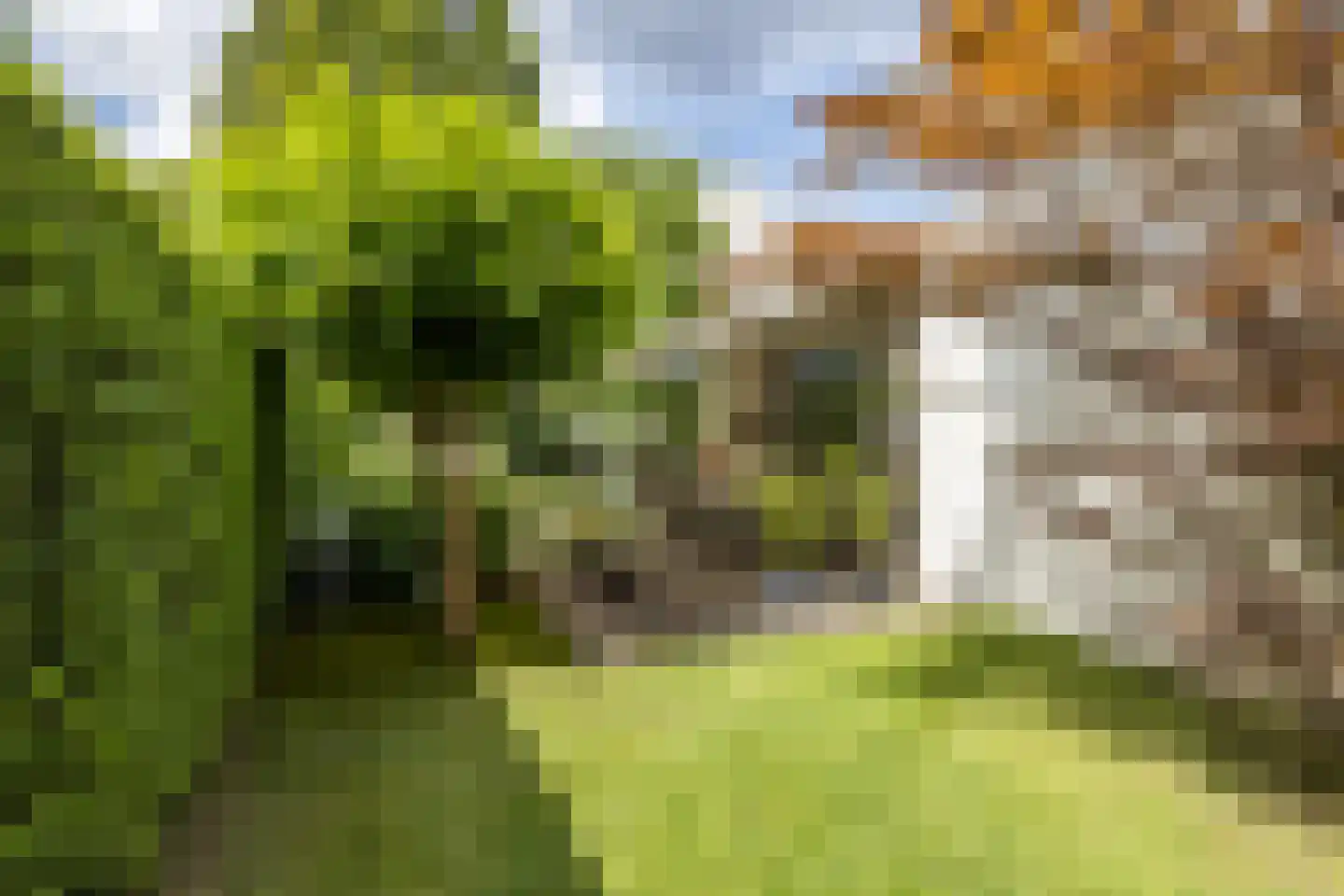 W. Schweitzerlaan 5 Heerlen thumbnail 48
