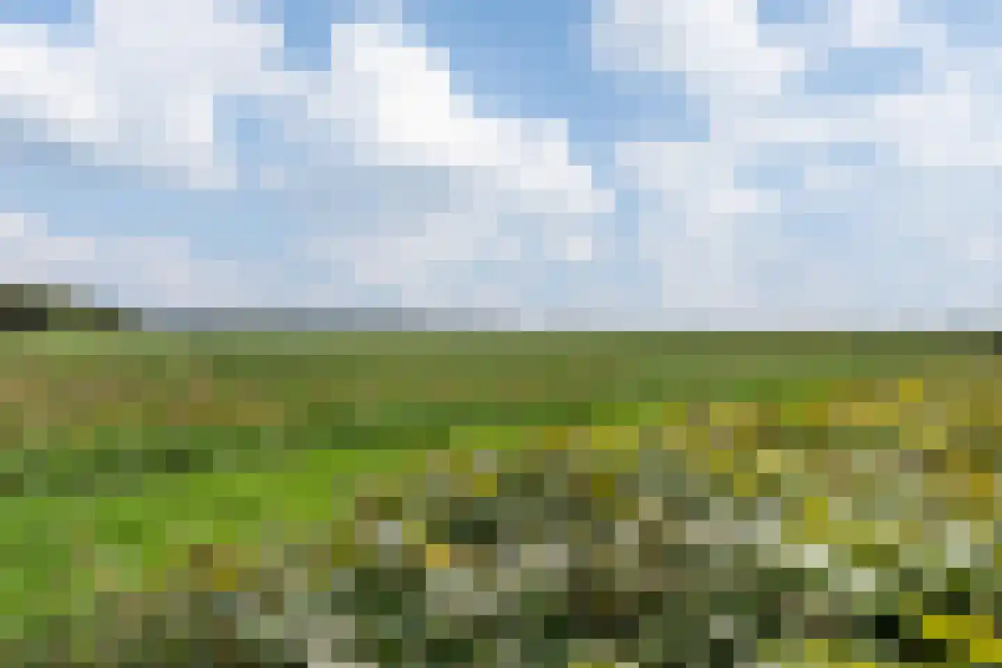 W. Slotweg 30 Witteveen thumbnail 47