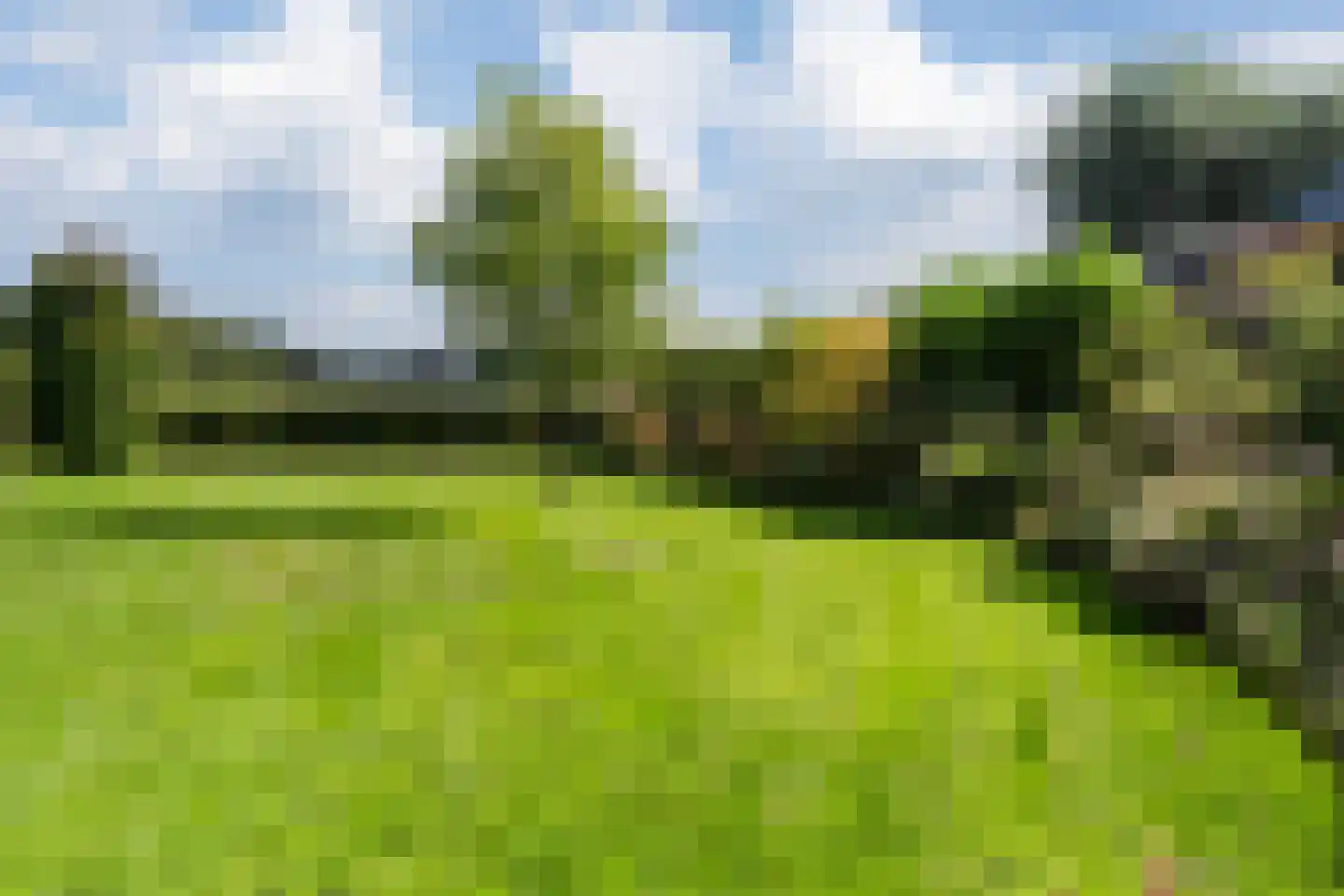 W. Slotweg 30 Witteveen thumbnail 57