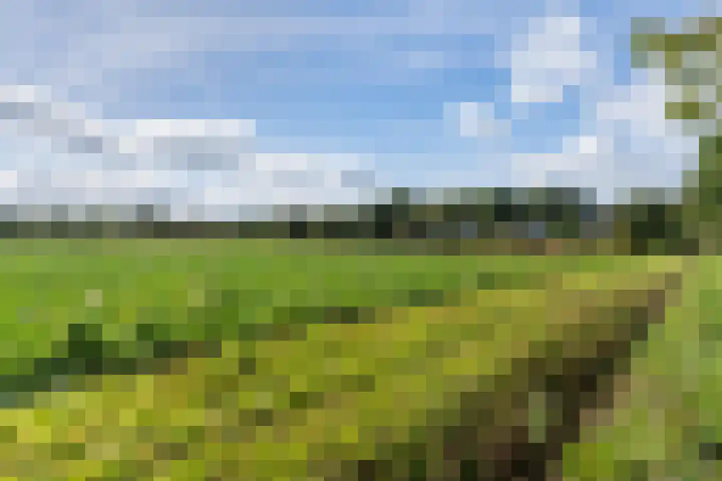 W. Slotweg 30 Witteveen thumbnail 69