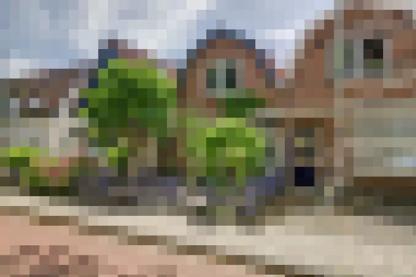 W. Snelliusweg 16 Zwijndrecht thumbnail 35