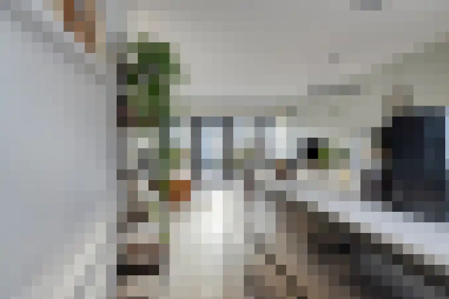 W. v.d. Brinkstraat 77 Purmerend thumbnail 14