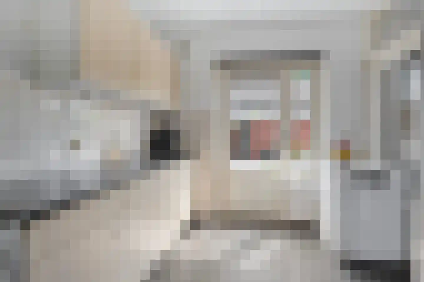 W. van Harenstraat 15 Hengelo thumbnail 15