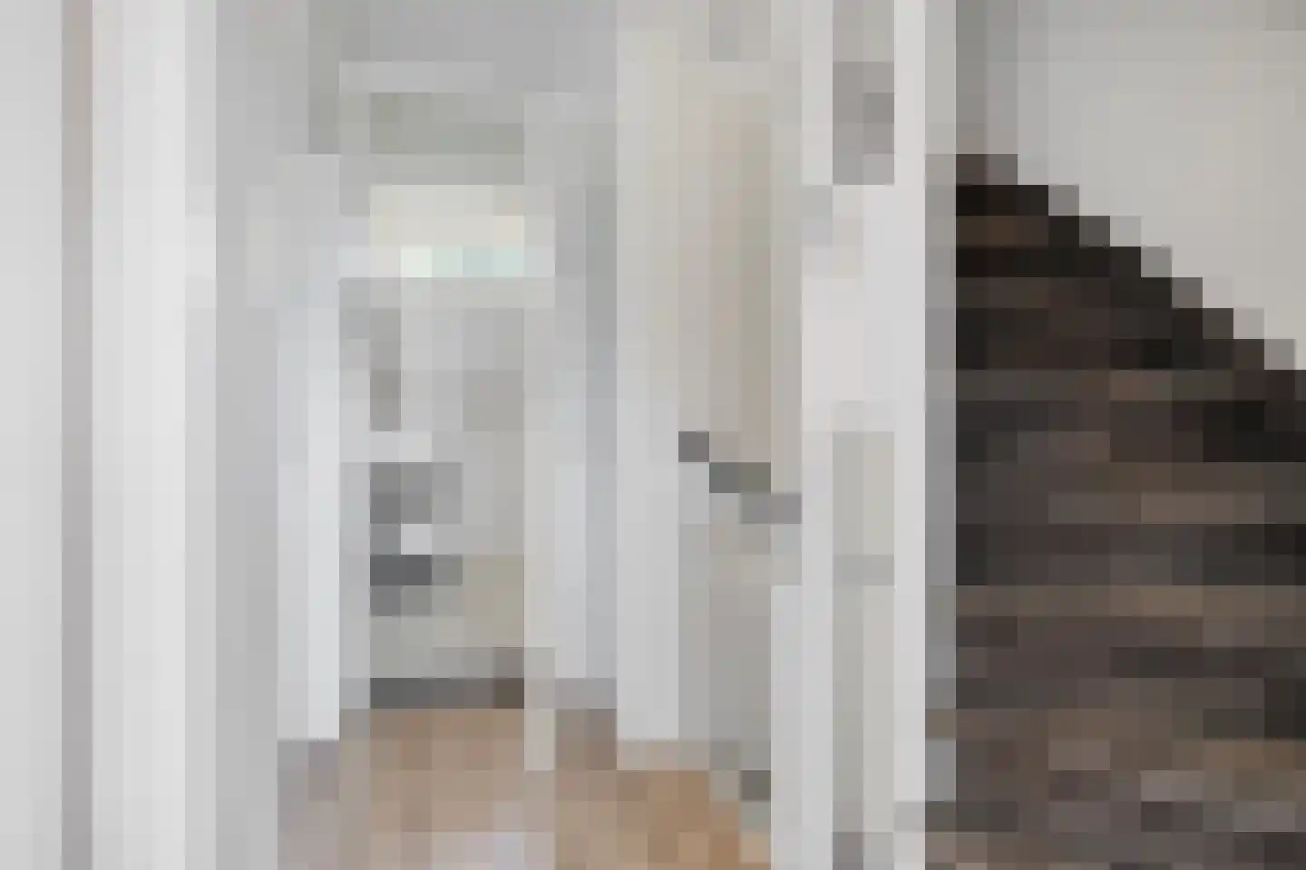 W. van Harenstraat 15 Hengelo thumbnail 17