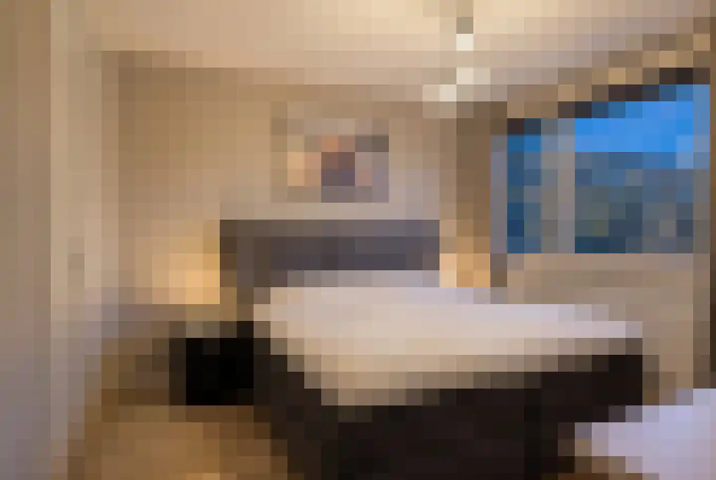 W. van Harenstraat 15 Hengelo thumbnail 18
