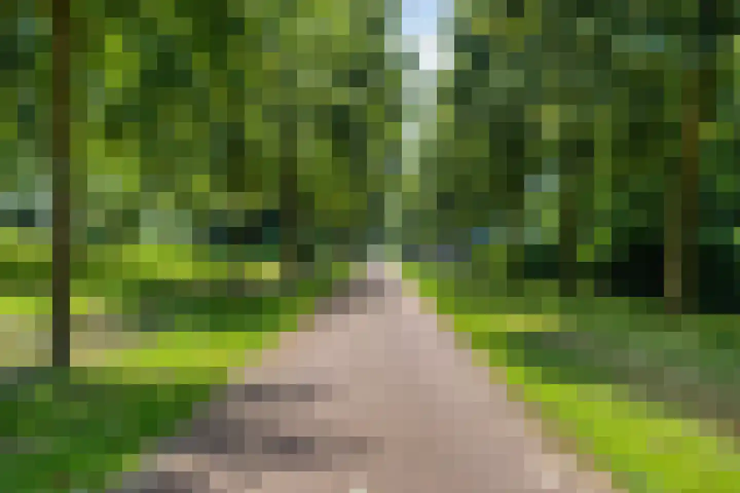 W. van Harenstraat 15 Hengelo thumbnail 41