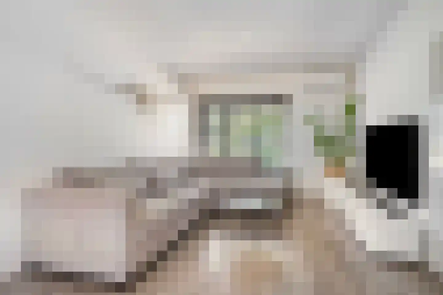 W. van Harenstraat 15 Hengelo thumbnail 7