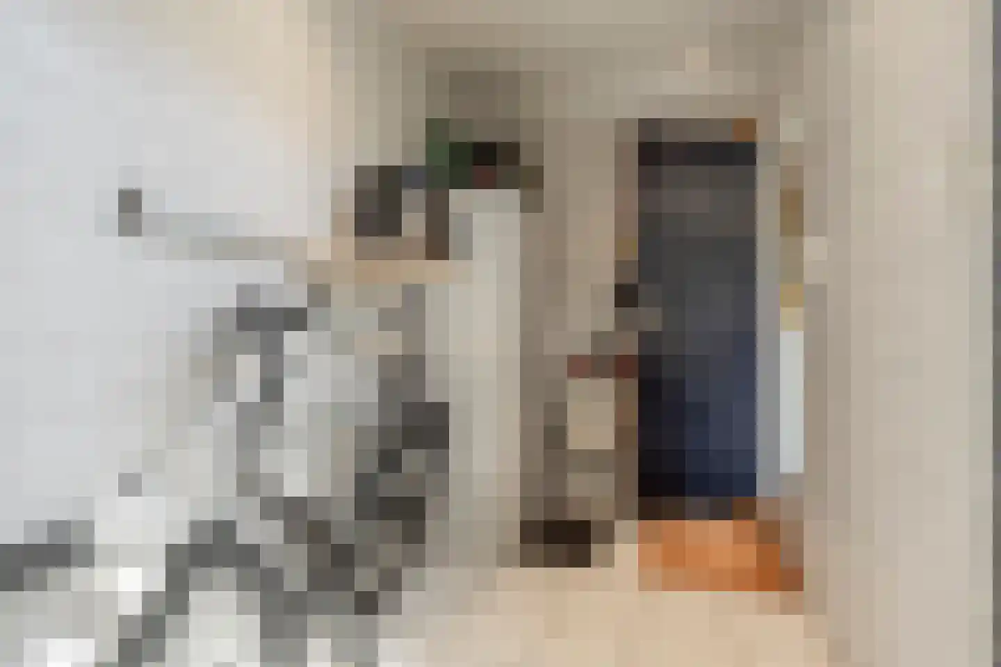 W. van Vlietstraat 1 Oud-Beijerland thumbnail 19
