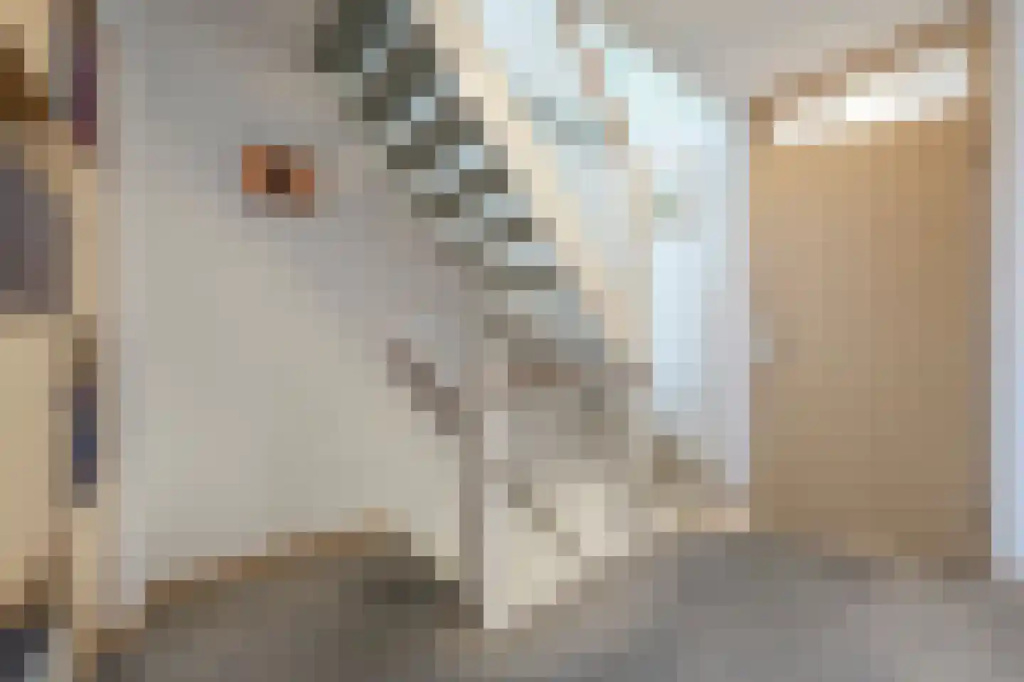 W. van Vlietstraat 1 Oud-Beijerland thumbnail 21