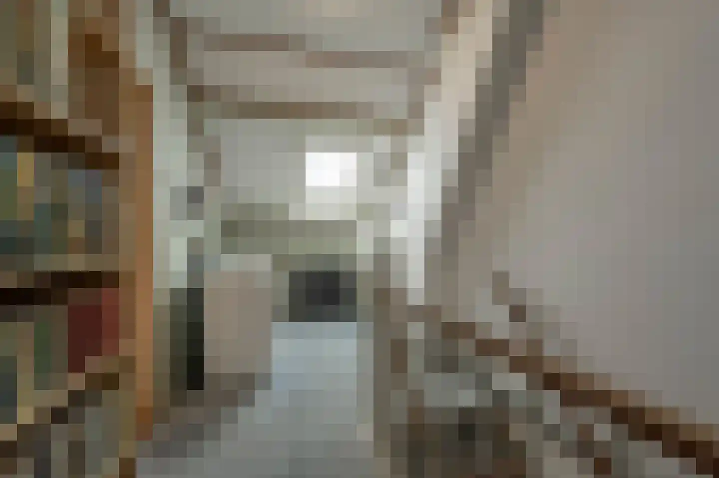 W. van Vlietstraat 1 Oud-Beijerland thumbnail 33