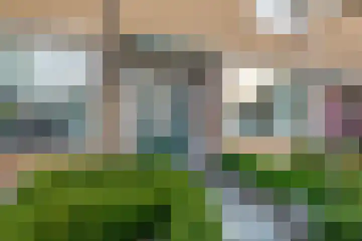 W. Vrijlandtstraat 34 Oud-Beijerland thumbnail 8